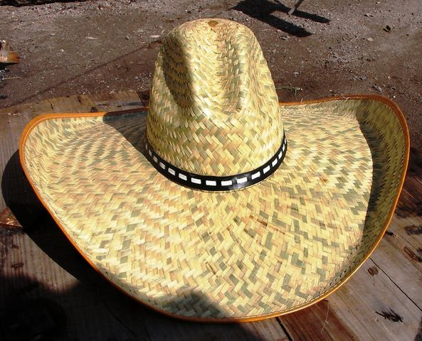 fax Descolorar Histérico Sombrero GRANDE de Palma Natural Unitalla Ideal para playa, trabajo bajo el  sol, para venderse en