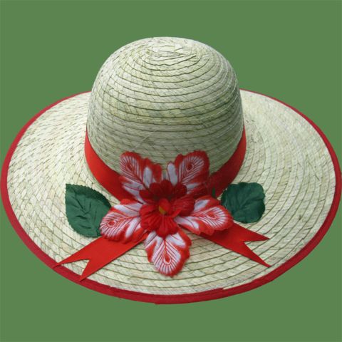 SOMBRERETA PARA DAMA $25 
Hermosa sombreta, material cinta de palma, delgada y ligera. Con banda de color y u una flor para resaltar la sombrereta. Colores: Variados.